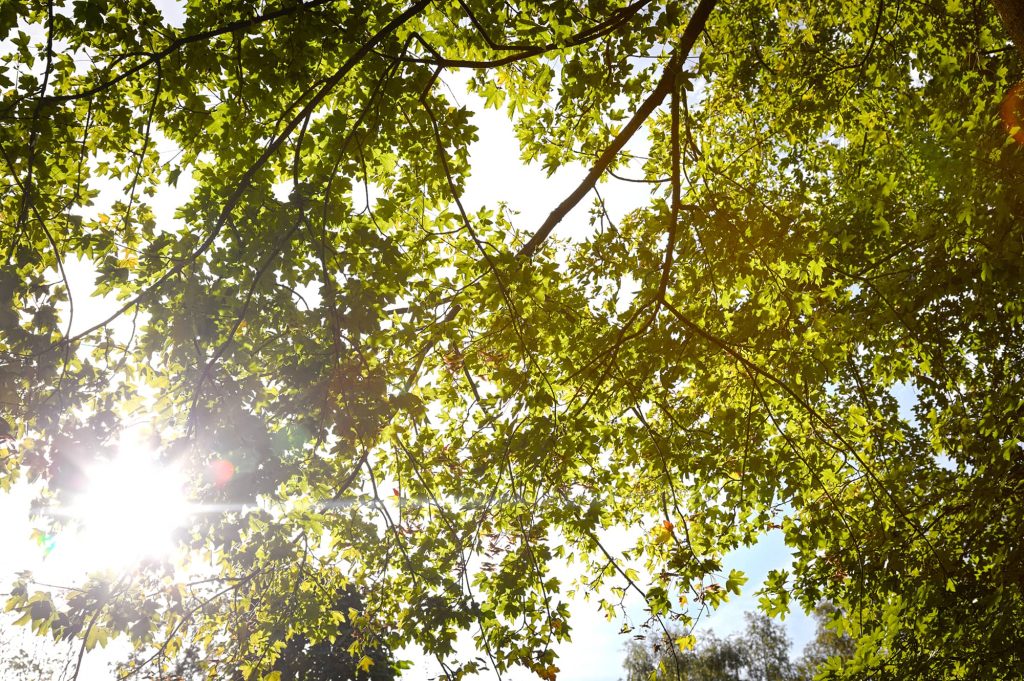Psycholoog gespecialiseerd in 65+ uit Sneek die werkt vanuit praktijkruimte en natuur